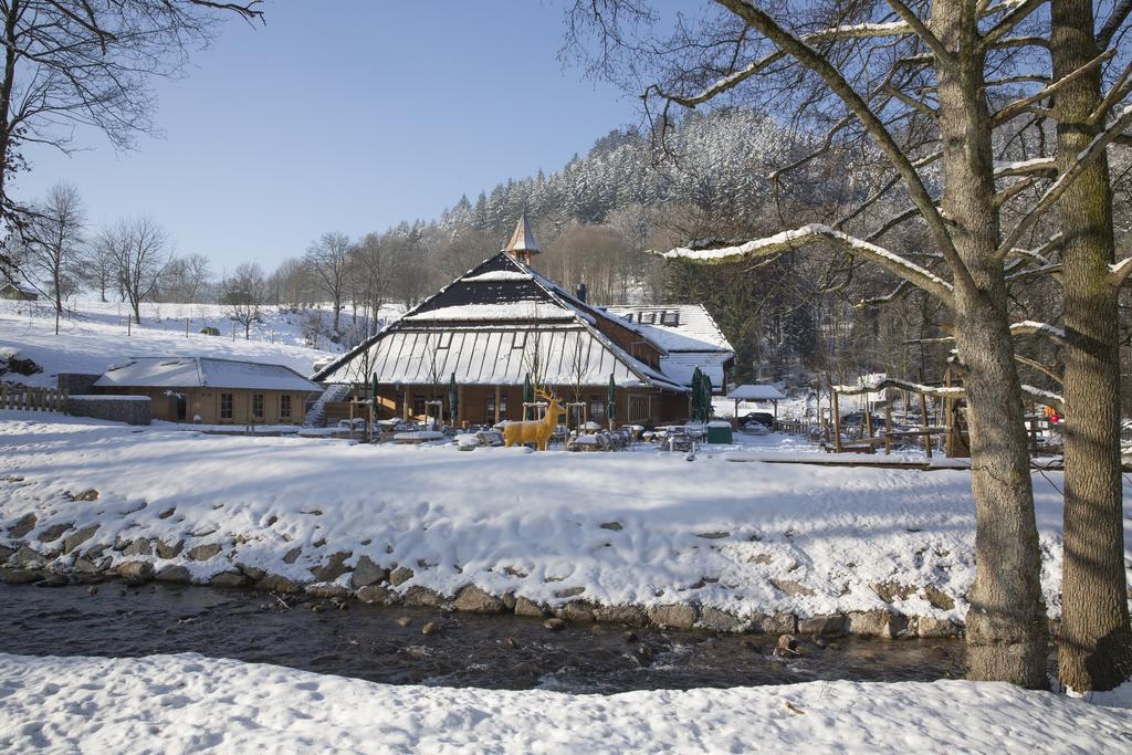 Gaestehaus Der Geroldsauer Muehle Baden-Baden Dış mekan fotoğraf